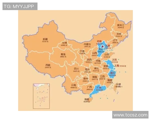 北京排球队与上海排球队实力对比赛后分析及未来展望